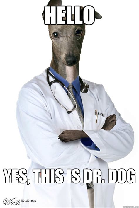 Hello Yes This Is Dr Dog Dr Dog Quickmeme