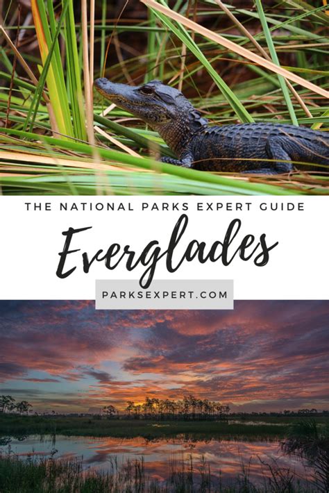 Visiting Everglades National Park The Parks Expert Guide