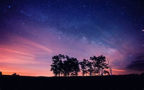 Purple Night Sky Stars Trees Silhouettes Wallpaper Nature And