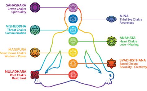 What Are Chakras