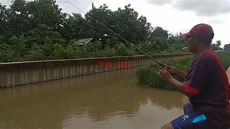 Mancing Ikan Nila Di Sungai Jakarta To Ogi Youtube