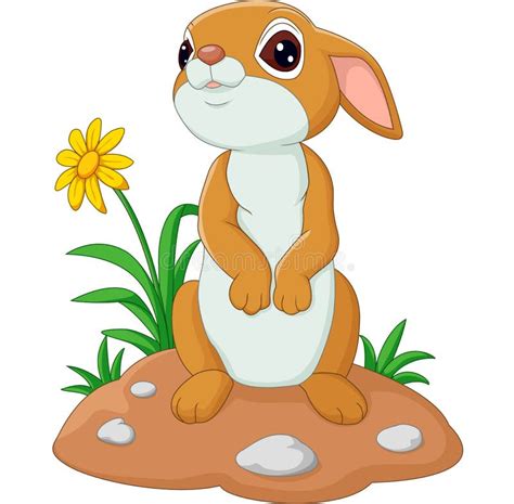 Cute Baby Rabbit Cartoon Stock Vector Image Of Isolated