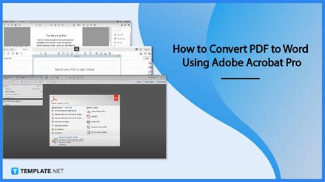 How To Convert Pdf To Word Using Adobe Acrobat Pro