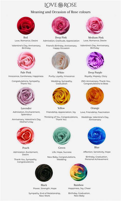 Rose Colour Meaning Guide Chart For Download Loverose