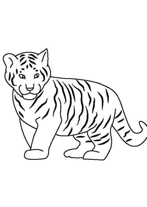 Coloring Pages Cute Baby Tiger Coloring Page