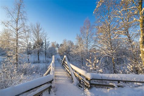 Footbridge In Winter Seinäjoki Finland By Pasi Ahola Winter