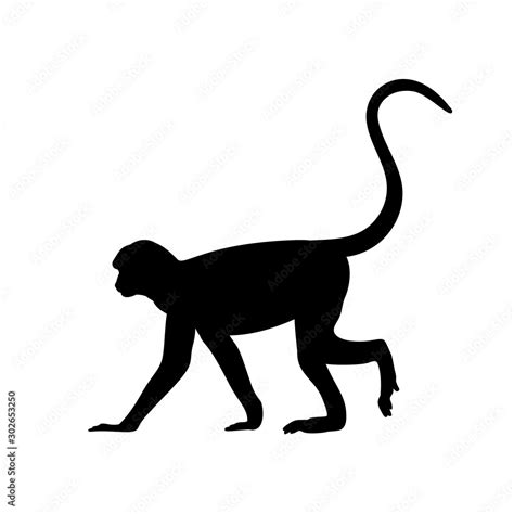 Silhouette Of Monkey Animal Genus Of Primates Stock Vector Adobe Stock