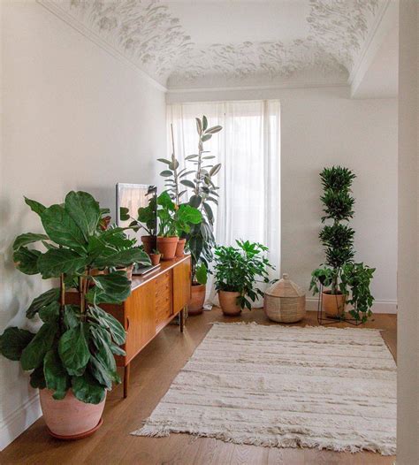 Primeramente para que empieces con la decoración de tu sala con plantas, es necesario que analices perfectamente. Inspírate decorando con plantas de interior como las ...