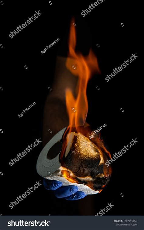 802 Burning Toilet Images Stock Photos And Vectors Shutterstock