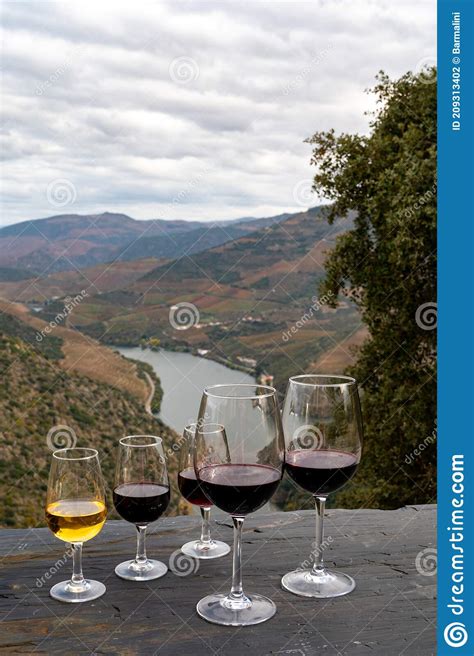 Tasting Of Portuguese Fortified Port Wine And Dry Red Wine Produced In