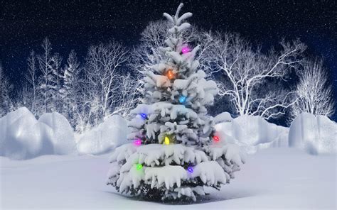holidays christmas winter snow lights color trees seasonal stars sky wallpapers hd