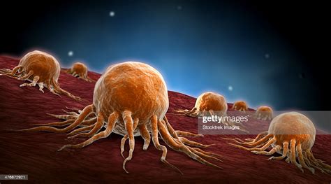 Conceptual Image Of Cancer Virus High Res Vector Graphic Getty Images