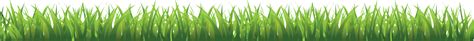 Grass Png Image Green Grass Png Picture