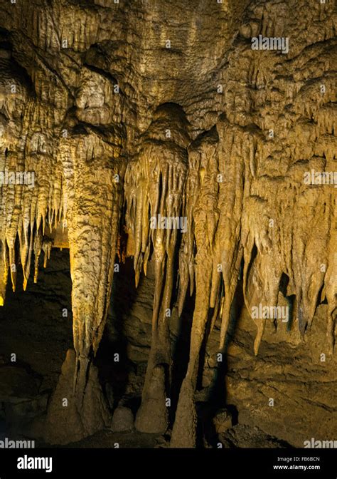 Limestone Formations Mammoth Cave Mammoth Cave National Park