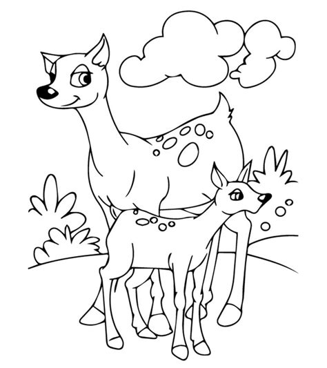 20 Free Printable Pictures Of Animals Free Coloring Pages