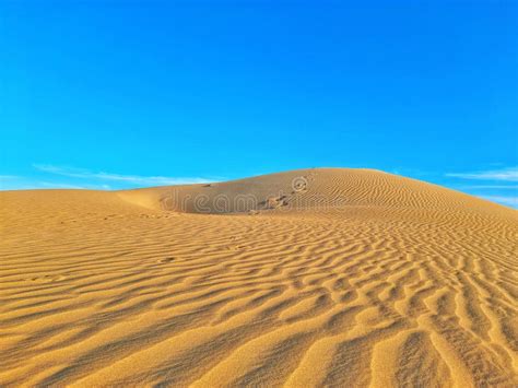Amazing Pattern Waves In Sand Dunes On Algeria Desert Stock Photo