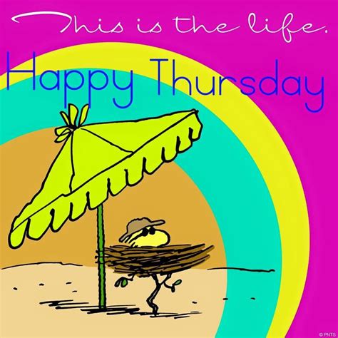 Happy Thursday Frases Pinterest