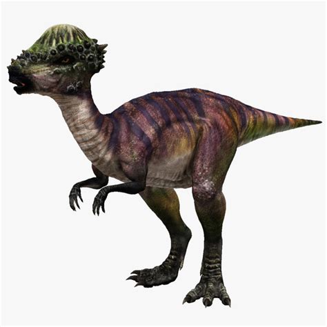 3d Pachycephalosaurus Models Max 3ds Obj Lwo Blend