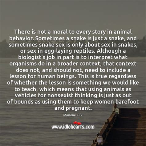 There Is Not A Moral To Every Story In Animal Behavior Sometimes