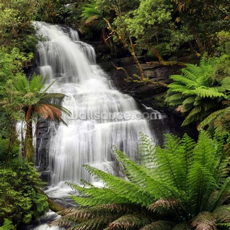 31 Rainforest Waterfall Wallpaper On Wallpapersafari