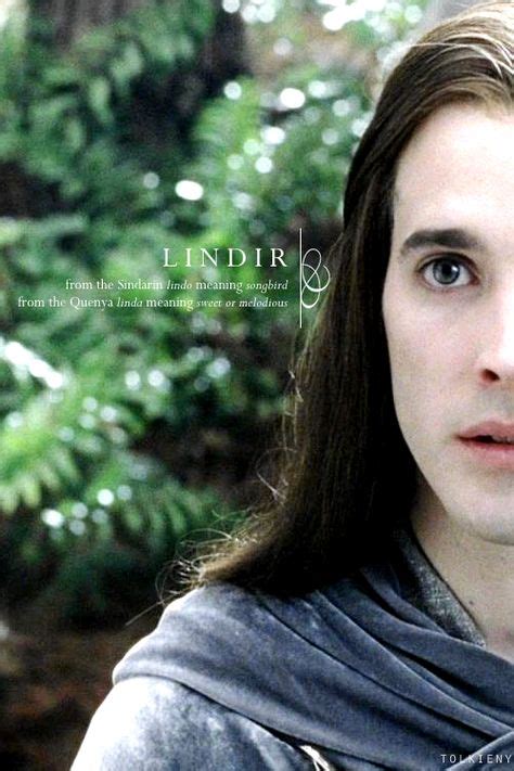 24 Best Lindir Images The Hobbit Lotr Middle Earth