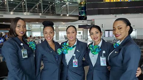 How To Apply Caribbean Airlines Flight Attendant Hiring Cabin Crew Hq