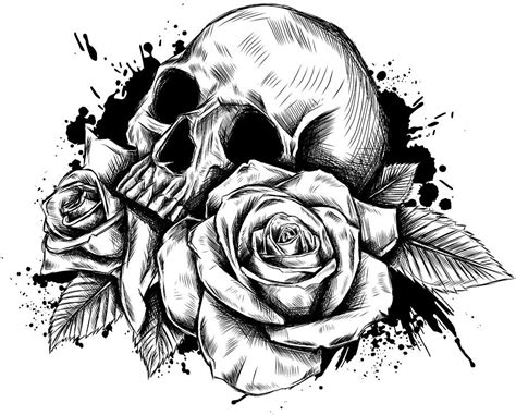 Skull And Rose Drawing