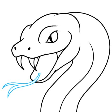 How To Draw A Snake Face And Head Really Easy Drawing Tutorial
