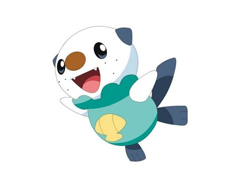 Day 8 Oshawott Pokémon Amino