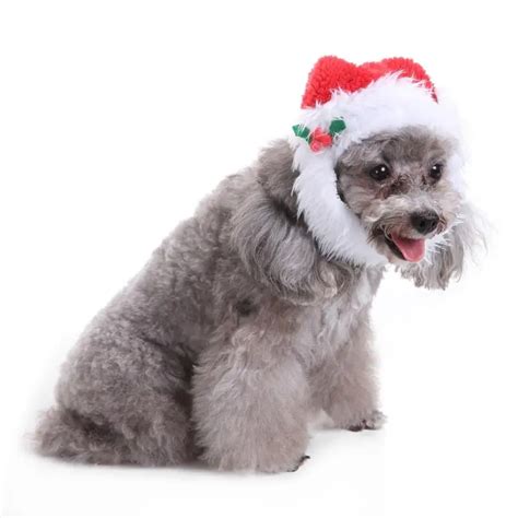 Buy Dogs Clothes Puppy Christmas Hats Pets Xmas