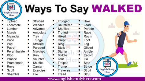 Ways To Say Walked English Study Here