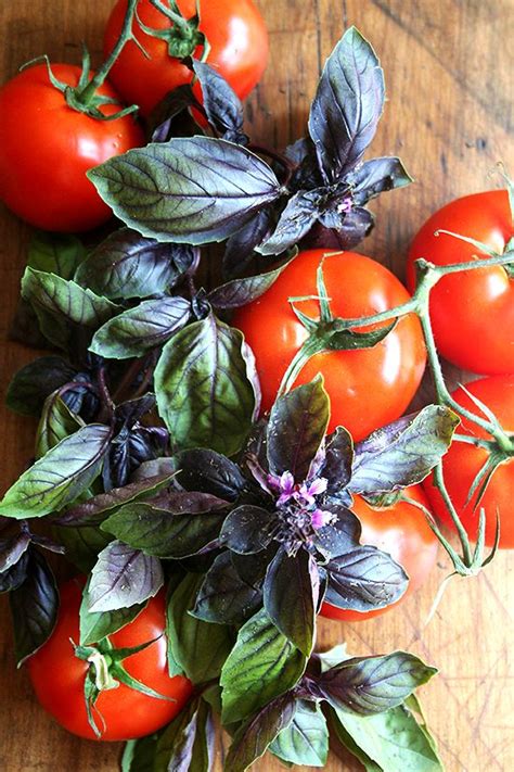 What A Way To Garden Perfect Partnership Tomatoes And Basil