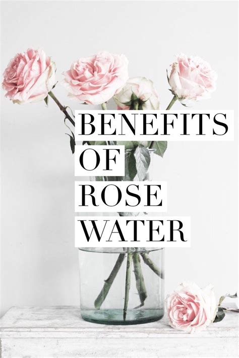 Benefits Of Rose Water Musina Rose Water Benefits Rose Water