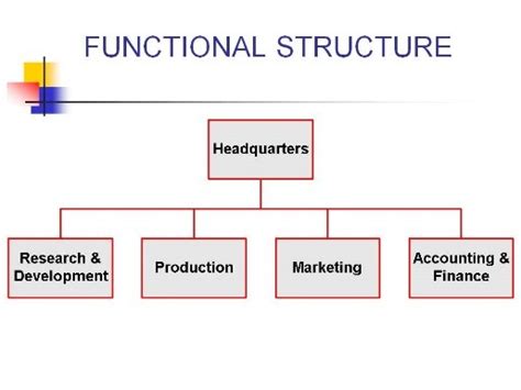 Functional organization structure is suitable for small as well as those entities that offer one type of services or products regularly; Common Organizational Structures - Dr. Vidya Hattangadi