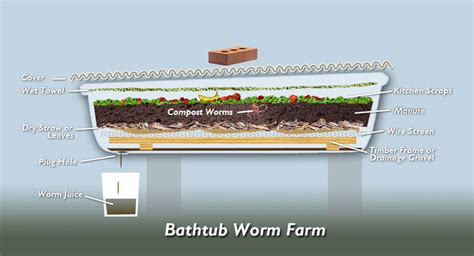 Building A Worm Farm In A Bathtub Ecofilms