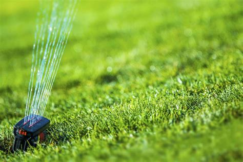 Department of irrigation and drainage. Conserve Water With Your Irrigation System | Pioneer ...
