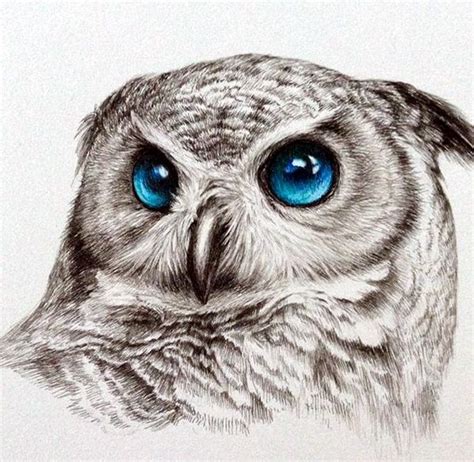 40 Color Pencil Drawings To Having You Cooing With Joy Owls Drawing