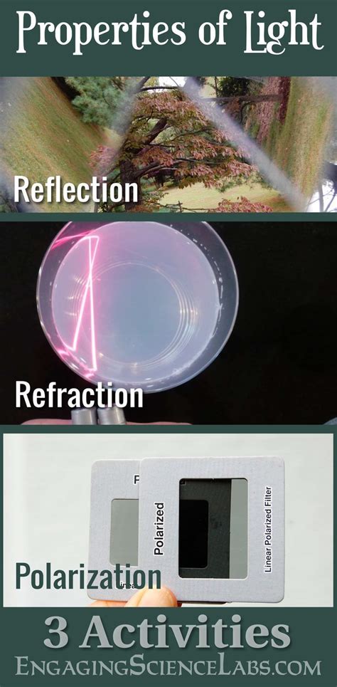 Properties Of Light Reflection Refraction And Polarization Middle