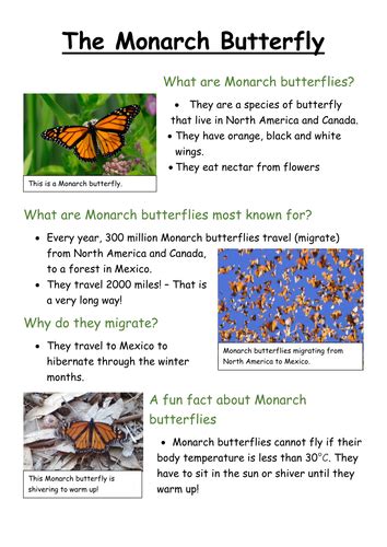 Image Result For Monarch Butterfly Fact Sheet Monarch Butterfly Facts