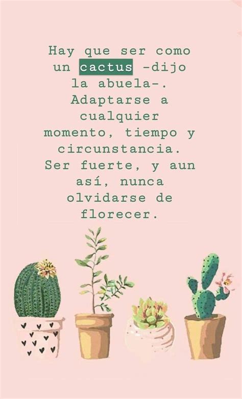 Some Potted Plants Are In Front Of A Pink Background With The Words