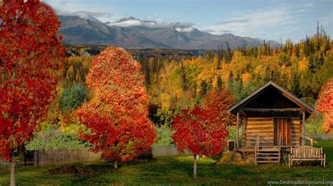 Log Cabin In A Beautiful Autumn Forest Desktop Background