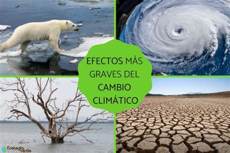 10 Efectos Del Cambio Climático Resumen Y Vídeos