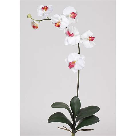 Nearly Natural Phalaenopsis Silk Orchid Flowers 6 Stems Beauty