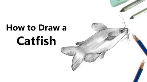 Step by step drawing tutorial on how to draw a catfish. How to Draw a Catfish with Pencils Time Lapse - YouTube