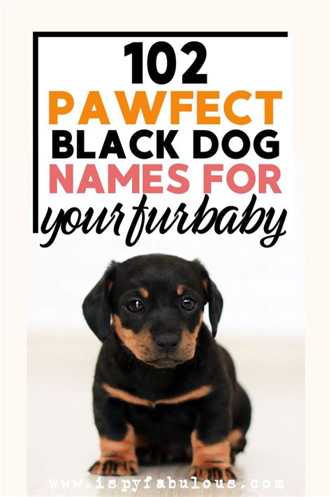 102 Creative Black Dogs Names And A Free Dog Name Printable I Spy Fabulous