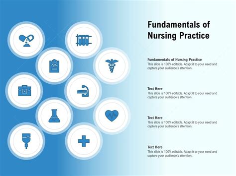 Fundamentals Of Nursing Practice Ppt Powerpoint Presentation Model