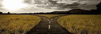Why Your (and Our) Team is at a Crossroads - The Team Space