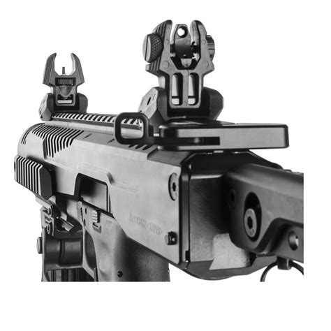Best Backup Iron Sights Buis View Throughs Xpert Tactical