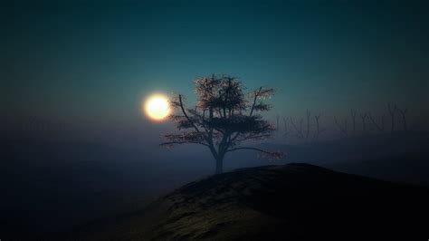 2560x1440 Resolution Full Moon On Foggy Night 1440p Resolution