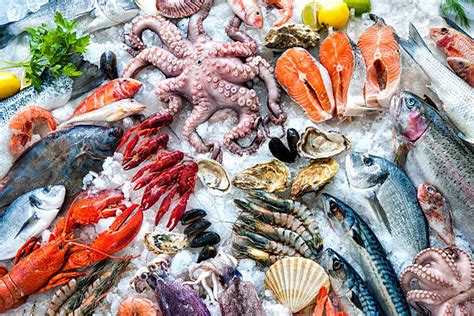 34600 Frozen Seafood Stock Photos Pictures And Royalty Free Images